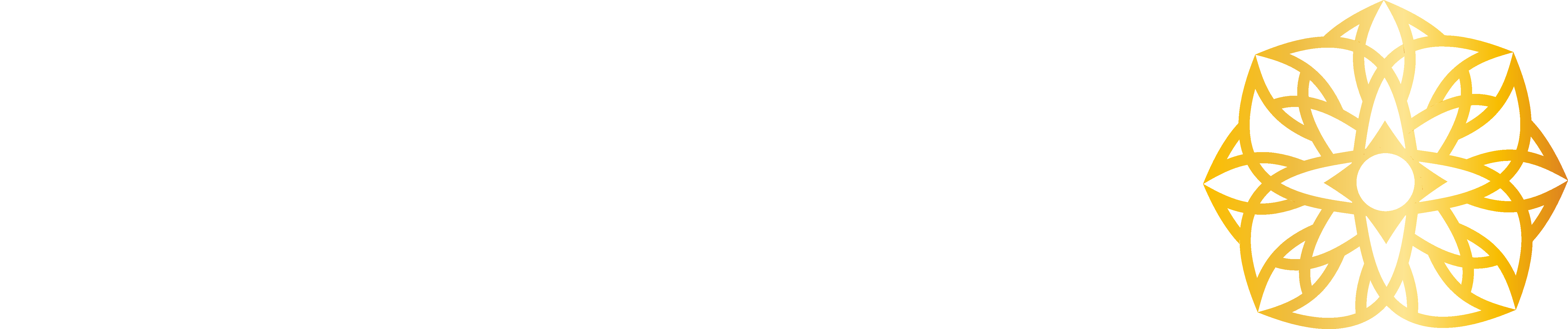 lotuswin365